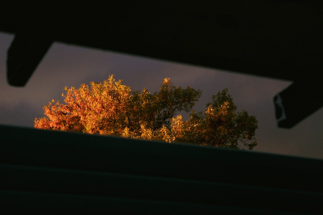 Photo home shade
