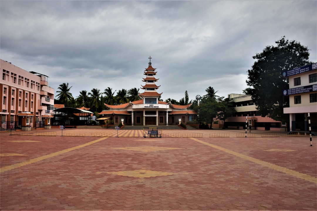 Photo kalarepa